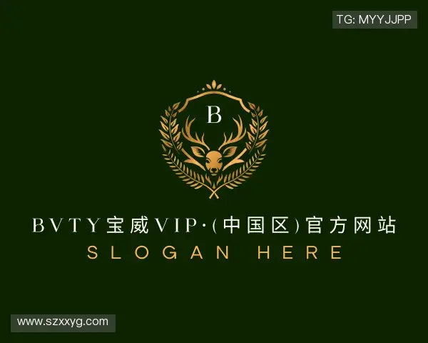 解读bvty宝威